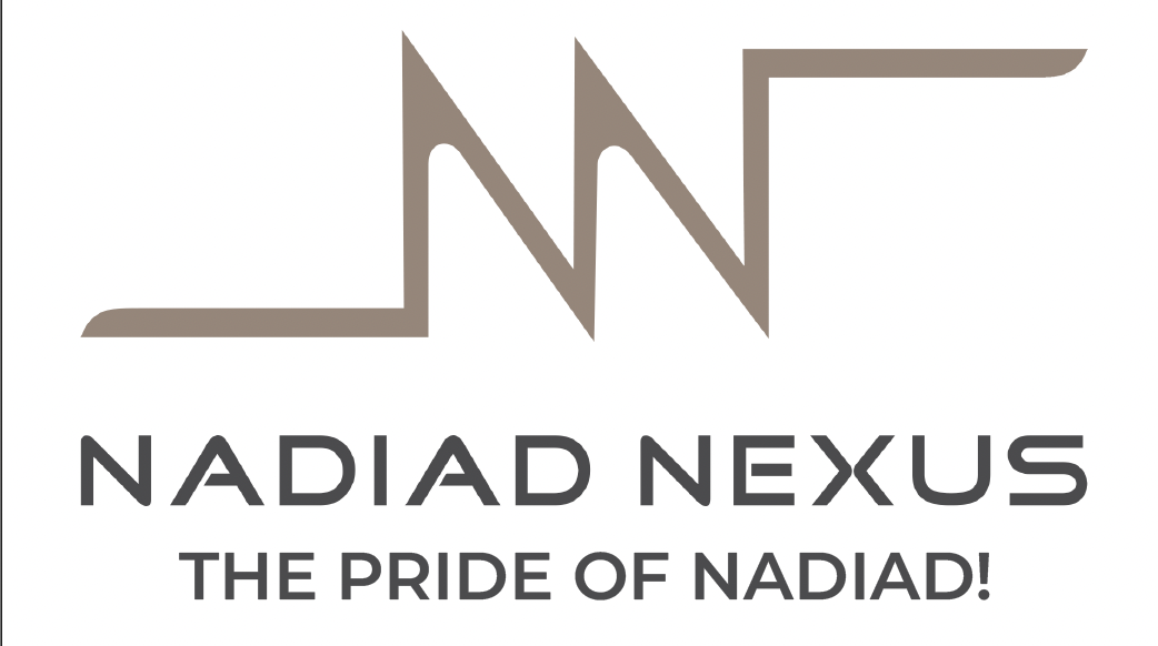 Nadiad Nexus logo - Maha Aarti Sponsor for BNI Garba Night 2026